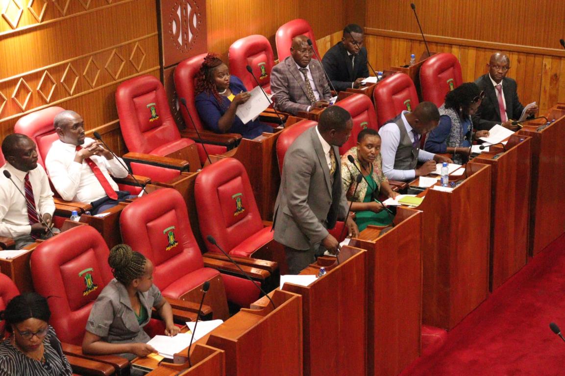 A section of the Members during deliberations